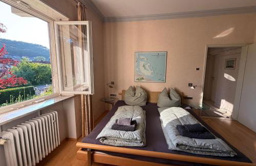 Lautertal Panorama-Suite - Kingsize-Bett & Badewanne & Dusche - Raucherbereich vor überdachten Terrasse - Rosengarten - Parkplätze 15m entfernt- Naturschutzgebiet vor Haustüre - sehr ruhige Gegend - Self-Checkin - 45qm2 - Foto 5