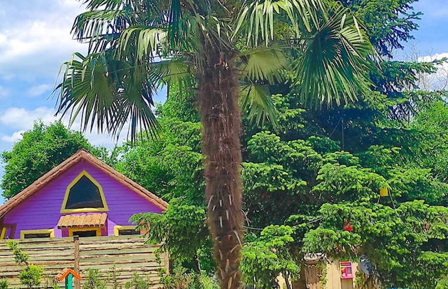 Sapanca Şeker Bungalov - Foto 48