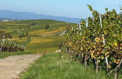 Am Wiiwegli Comfortable holiday residence - Foto 17