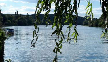 Les Seringats - Foto 2