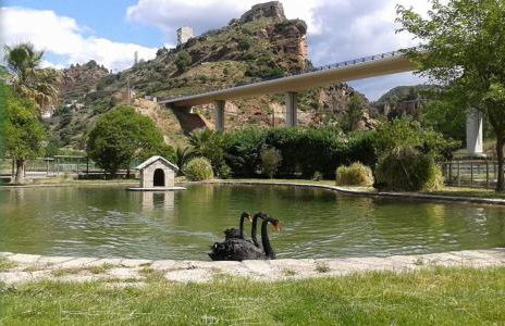 Casa Dolores - Photo 19