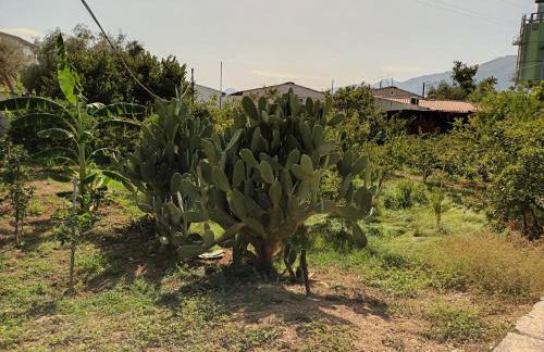 Aromi di Sicilia Casa Vacanze - Foto 4