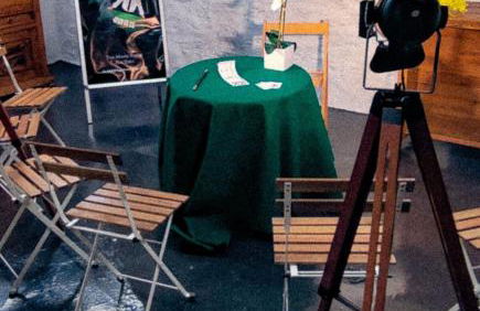 Historic Oak Park Residence - Foto 20