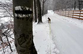 Przystanek Zawadka - Foto 43