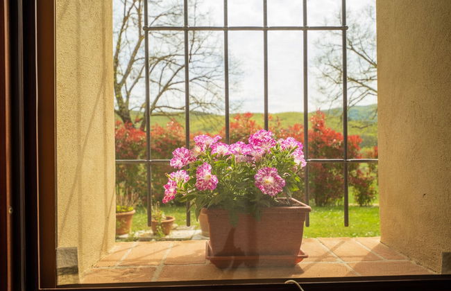 Agriturismo Due Ponti - Foto 51