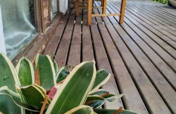 Tranquilidade e linda vista da lagoa - Foto 22