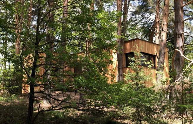 Holiday Home Under the Trees - Photo 23