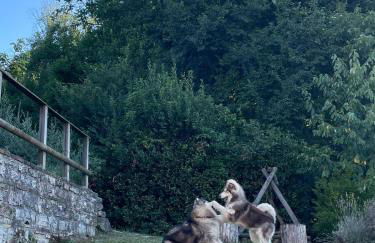 Maison en Pierre - Foto 42