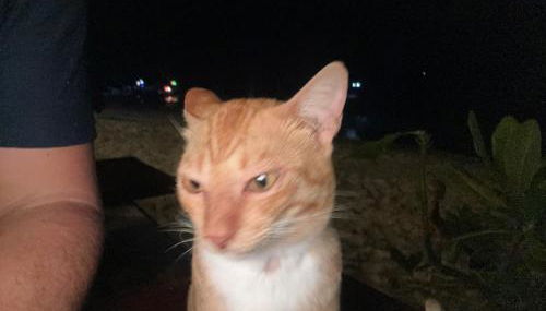 Ferienwohnung Garzau-Garzin - Foto 4