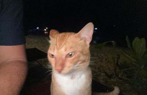 Ferienwohnung Garzau-Garzin - Foto 4