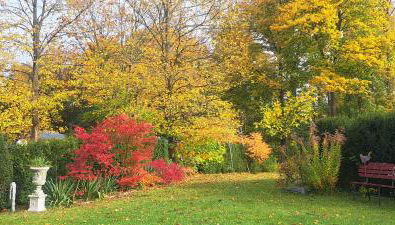 Villa am Stechlin - Foto 2