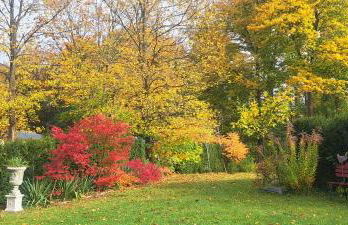 Villa am Stechlin - Foto 2