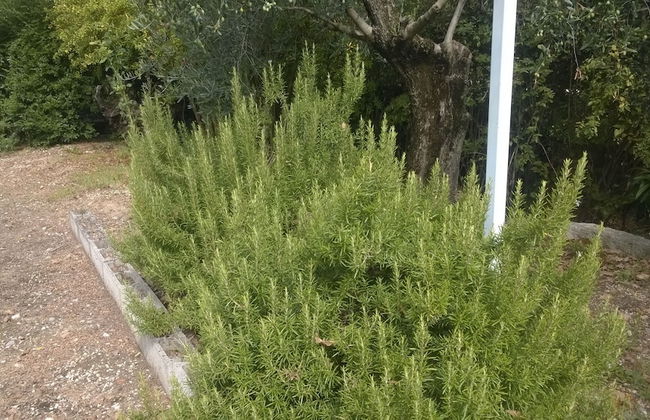 Farmhouse Paradiso - Foto 56