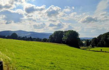 Modernes Rhombushaus im Naturparadies Sauerland - Foto 22