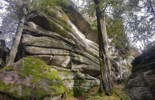 Ferienhaus Moni - Foto 21