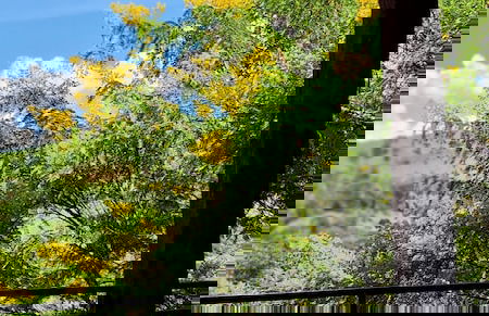 Monte Mauá Chalés - Foto 25