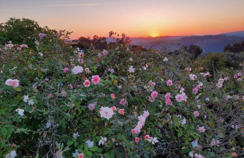 Quinta de Ribas - Foto 80