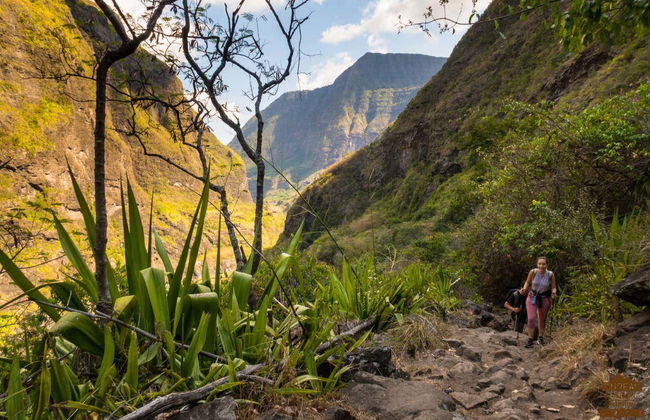 Tour in Réunion - Foto 9