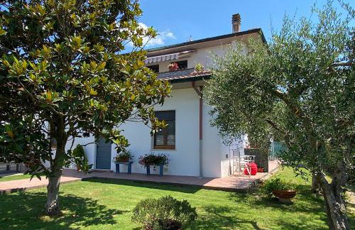 Il Trammino - Foto 4