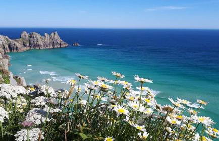 Cottage Sleeps 2- Parking Wood Fire Garden Pets - Foto 61