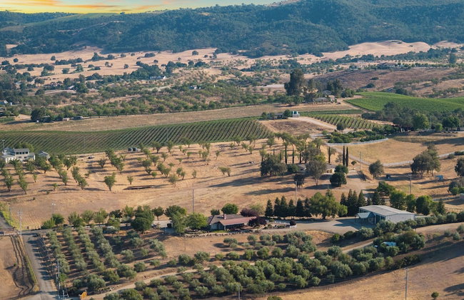 4.5 Acre Secluded Ranch w Panoramic Views • Fire Pit Olive Ranch by AvantStay - Foto 135