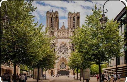 Grand Appartement le Saint Marceaux Reims centre - Foto 21