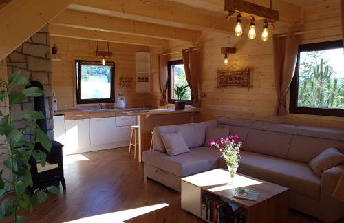 Domki całoroczne z kominkiem - SKAŁA i GŁAZ - Foto 3