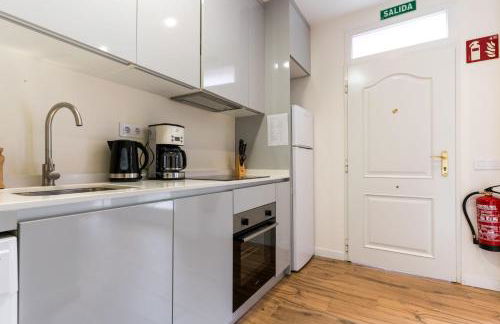 Cozy apartment- 1Bd 1Bth- Plaza Castilla - Foto 10