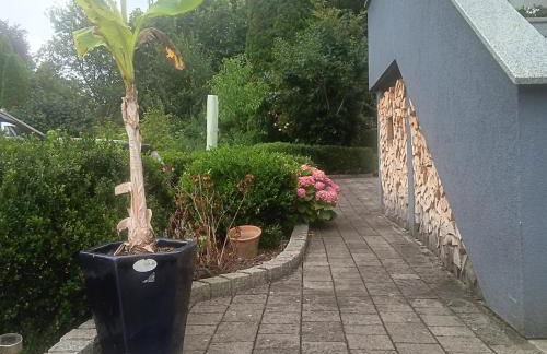 Weingut Jürgen - Lutz - Foto 11