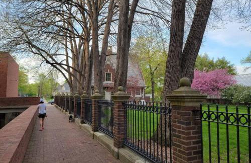 Walkable Cozy Downtown Studio, FREE Bikes to use - Foto 12