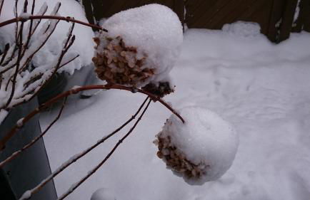 Apartment Zeitreise - Foto 11