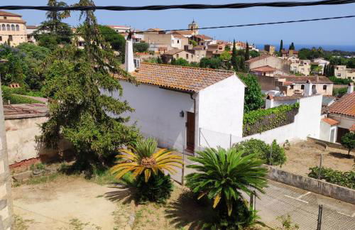 El Terral - Photo 59