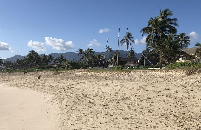 Gorgeous Renovated 1937 Plantation Style Beach House 50 Steps To The Center Of The Beach 5 Bedroom Home by RedAwning - Foto 57