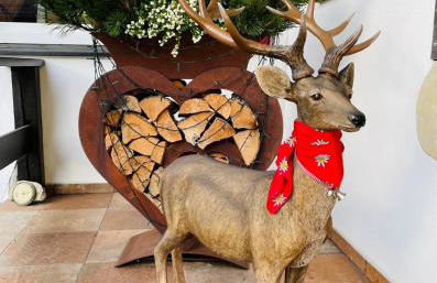 Ferienwohnung Amethyst - Photo 26