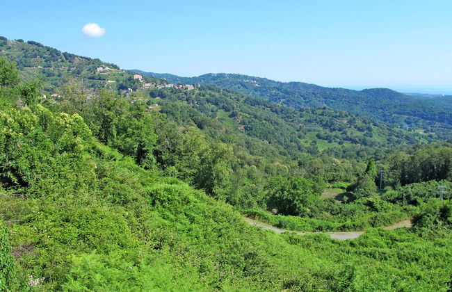 Maison Gerard - Photo 39