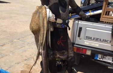 Casa Afonso Henriques - Foto 69