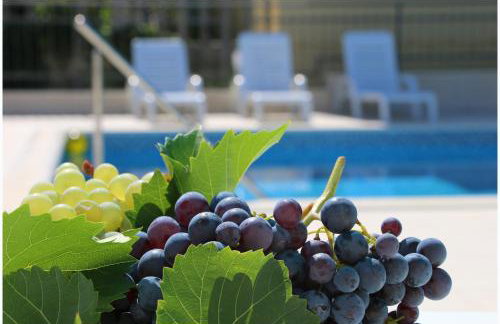 Apartment Katarina and house Marieta - Photo 3