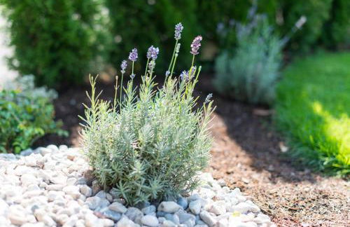 Moar am Ort - Foto 58