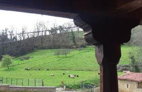 Casa Liron - Foto 44