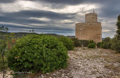 Lo passeig - Foto 56