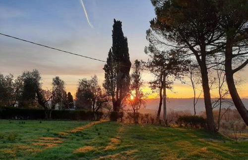 Villa Ginevri, La casa vacanze immersa nel verde - Foto 12