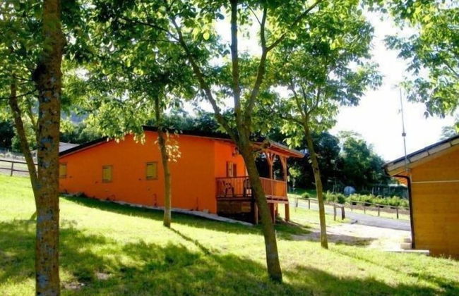 Fattoria Antica Forconia - Photo 22