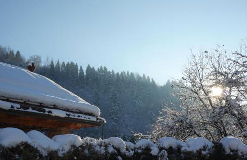 Apartamenty Agroturystyczne Papiernia Grill, Sauna & Jacuzzi - Foto 9