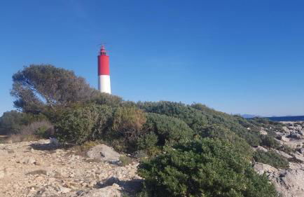 Carro duplex les pieds dans l'eau et la tête dans les pins - Foto 18