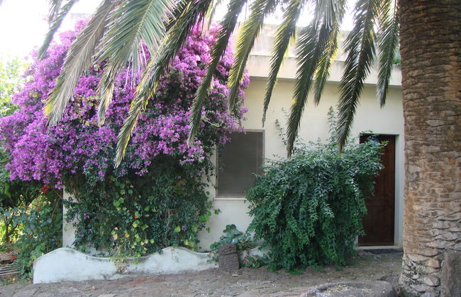 Agriturismo Su Tiresi - Foto 60