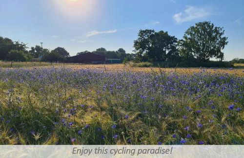 Souterrain-Apartment mit privater Sauna (inkl.) - Foto 28