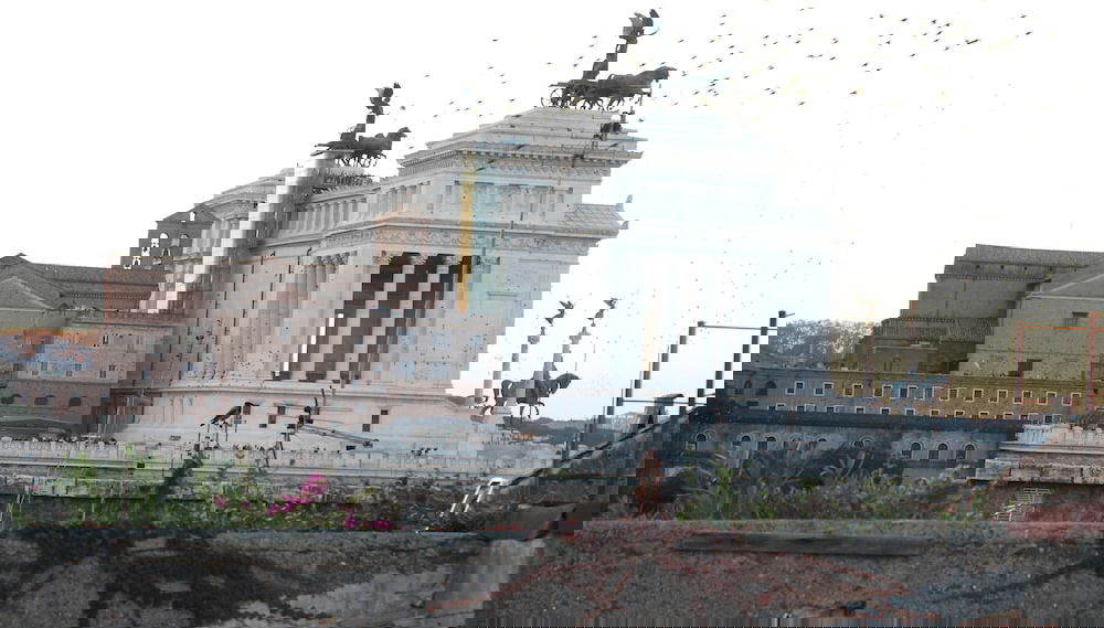 GuestHost - Piazza Venezia&Colosseum Loft - Photo 1, Primary image