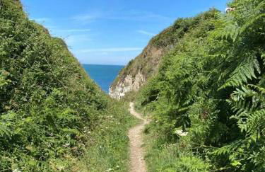 Gîte Adaméo - Foto 18