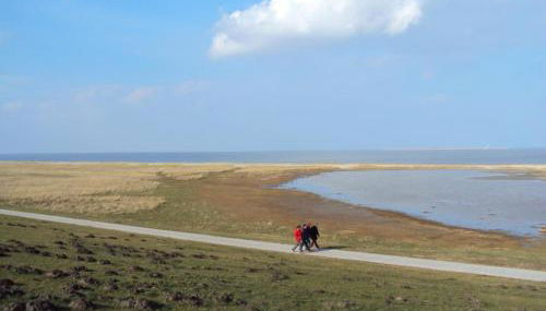 NEU! Ferienwohnung Schäfer Nähe Carolinensiel - Foto 5