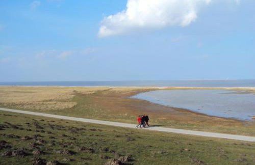 NEU! Ferienwohnung Schäfer Nähe Carolinensiel - Foto 5